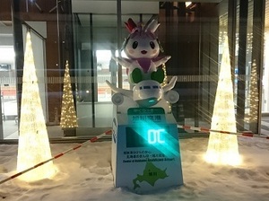 DSC_0500.JPG